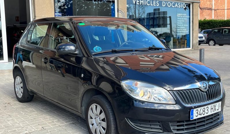 
								Skoda Fabia 2014 lleno									